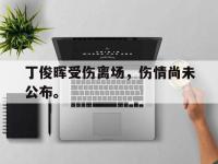 IM电竞下载网站-丁俊晖受伤离场，伤情尚未公布。