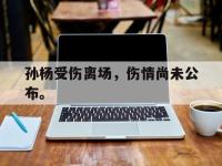 IM体育电脑app-孙杨受伤离场，伤情尚未公布。