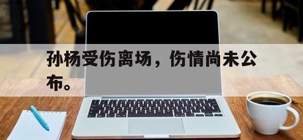 IM体育电脑app-孙杨受伤离场，伤情尚未公布。