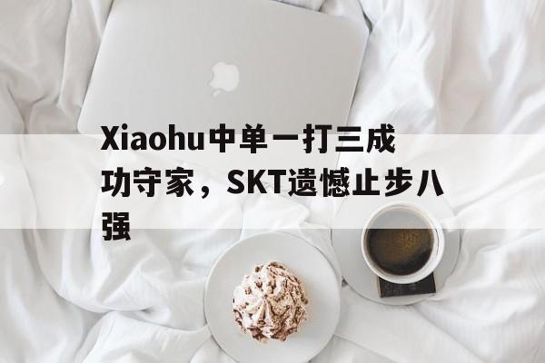 Xiaohu中单一打三成功守家，SKT遗憾止步八强