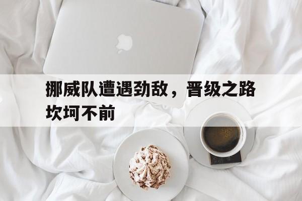挪威队遭遇劲敌，晋级之路坎坷不前